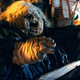 Illustration for article titled Stephen Kings witchy short story Gramma heads to the big screen